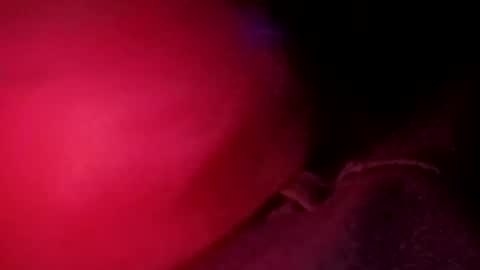 Snapshot of porkchop696974 chatting on 02.20.26 porkchop696974 online show from 02.20.26