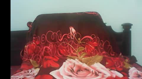 Snapshot of pornojedigoa chatting on 01.04.25 Koko Lar online show from 01.04.25