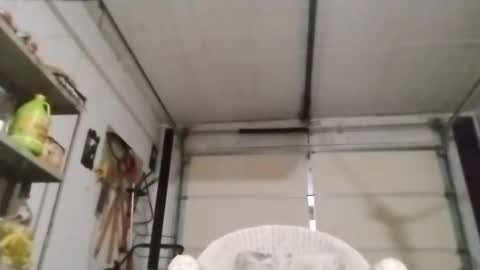 PipeLayerPlayer007 online show from 10.04.25