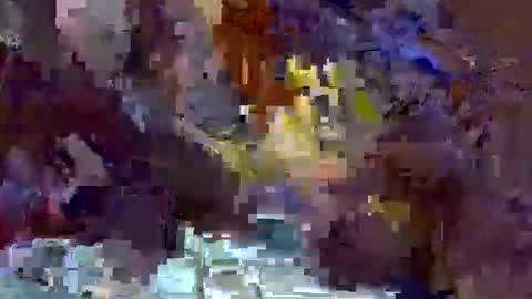 Snapshot of precious_nesh chatting on 05.13.26 precious_nesh online show from 05.13.26