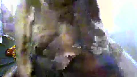 pretty_barbz online show from 03.08.25