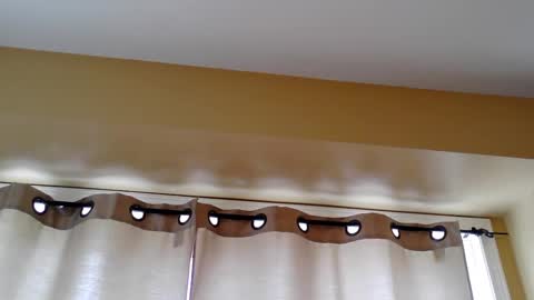 pretty_littletoy online show from 03.05.26