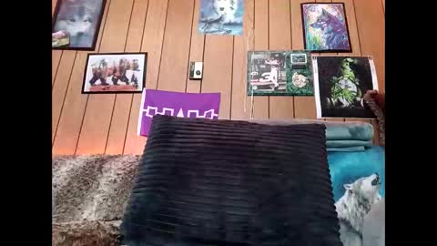 prettysolid7 online show from 02.14.26