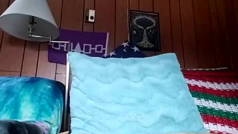 prettysolidd7 online show from 12.04.24