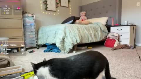 Sable online show from 03.30.26