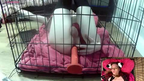 PrIncessJulia0X online show from 02.03.26