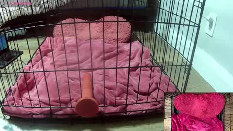 PrIncessJulia0X online show from 02.03.26