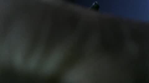 Snapshot of privatefuckit chatting on 01.05.26 privatefuckit online show from 01.05.26