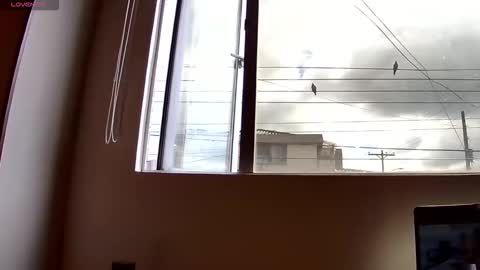 Probardetodo independent model online show from 12.03.25