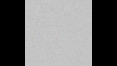 professorhushh online show from 11.09.25