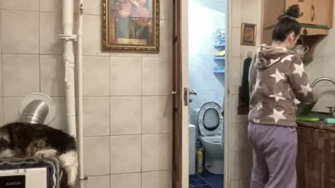 proud sweet 21 online show from 02.01.26