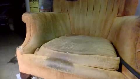 pspee313 online show from 10.31.25