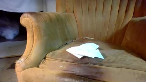 pspee313 online show from 02.28.26