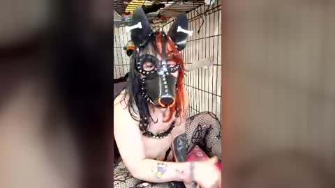 Pup Maxie HeHim online show from 07.31.26