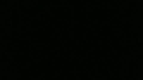 pup_tank online show from 09.12.25