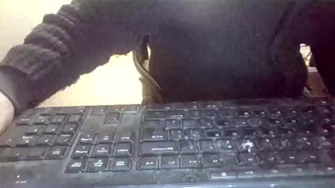 pup_y online show from 01.31.26