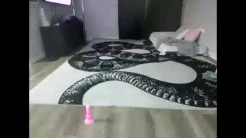 Puppynubiss online show from 11.06.25