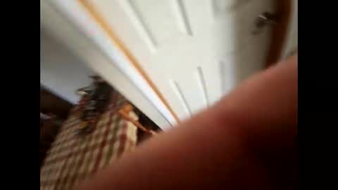 purdyguy7777 online show from 02.05.25