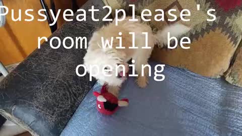 Rick online show from 02.23.25