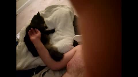 Snapshot of pussyisthreapy chatting on 12.18.25 Sexthreeapy online show from 12.18.25