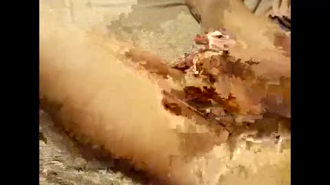 Thick Pussy banger online show from 09.28.25