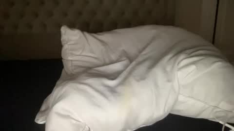 qlf0506 online show from 11.12.25