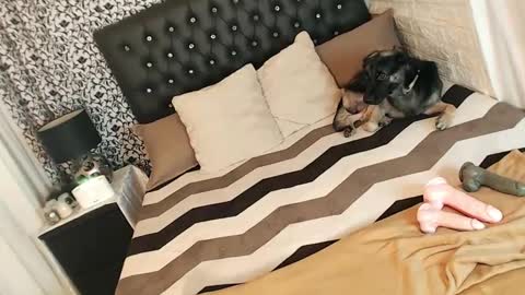 Yeng online show from 03.05.25