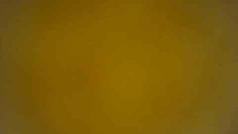 quinnxx online show from 03.24.26