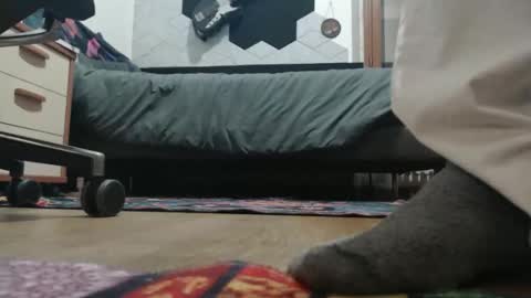 Snapshot of raccon68 chatting on 12.20.25 Raccoon68 online show from 12.20.25