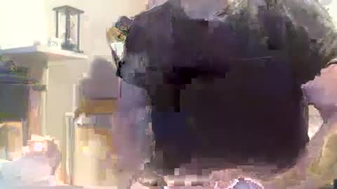 Raccoon68 online show from 04.18.26