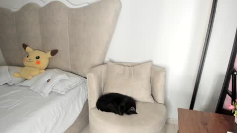 natalia  -  online show from 12.17.24