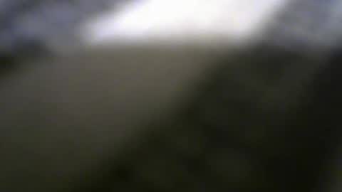 Rafaella online show from 03.08.25