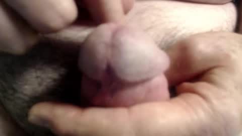 Ray online show from 11.06.25