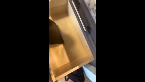 Rainbow Randolf online show from 11.22.25