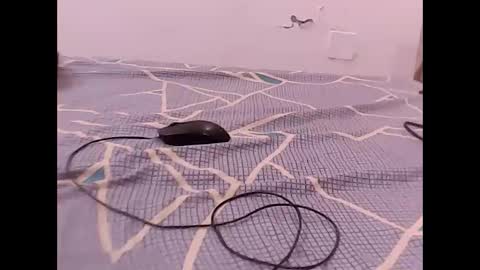 RAMAN online show from 12.01.25