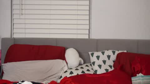 Snapshot of ramichick chatting on 01.03.25 Rami online show from 01.03.25