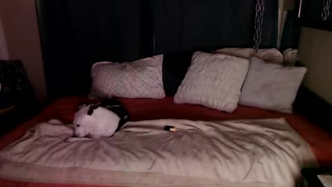    RAMONA Q   online show from 12.20.24