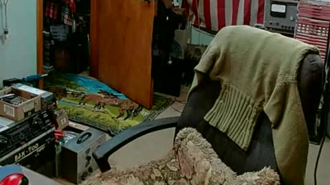 Randall online show from 02.27.25