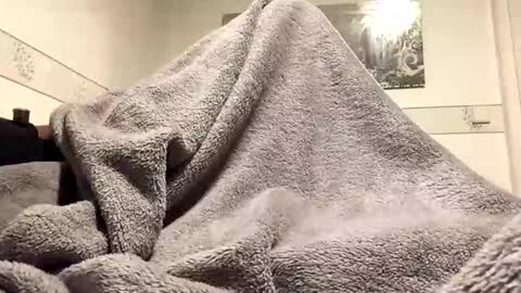 ranj00800 online show from 11.24.25