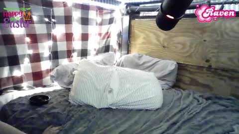 Snapshot of raven_8687 chatting on 04.06.26 Raven online show from 04.06.26