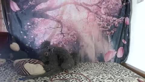 ravenlotus online show from 06.25.26