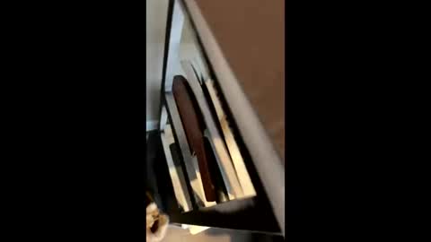 Snapshot of ravenxbeastie chatting on 02.17.25 ravenxbeastie online show from 02.17.25