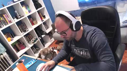 ravingr3d3 online show from 11.11.25