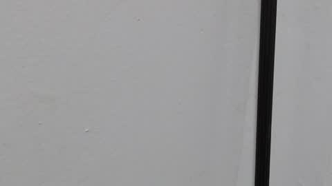 Ray  online show from 03.22.26