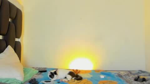 Snapshot of raydevil_ chatting on 11.05.25 Rayn online show from 11.05.25