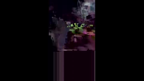 Allen online show from 01.17.26