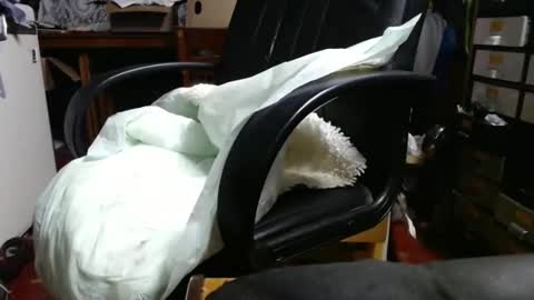 Snapshot of raysmith77777777 chatting on 04.29.26 Ray online show from 04.29.26