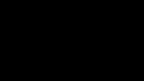 rdt2030 online show from 12.29.24