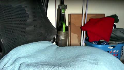 re dick online show from 10.22.25