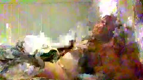 real_viking1 online show from 02.07.26